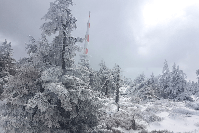 Verschneiter Harzwald am Brocken