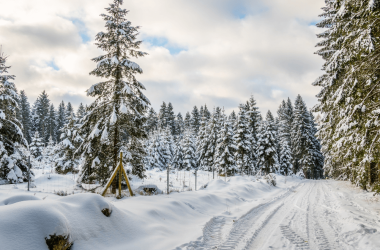 Schneebedeckter Wanderweg im Harz