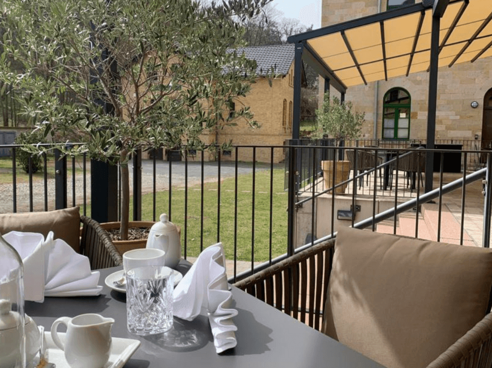 Schön eingedekcter Tisch auf der Terrase vor einem Olivenbaum