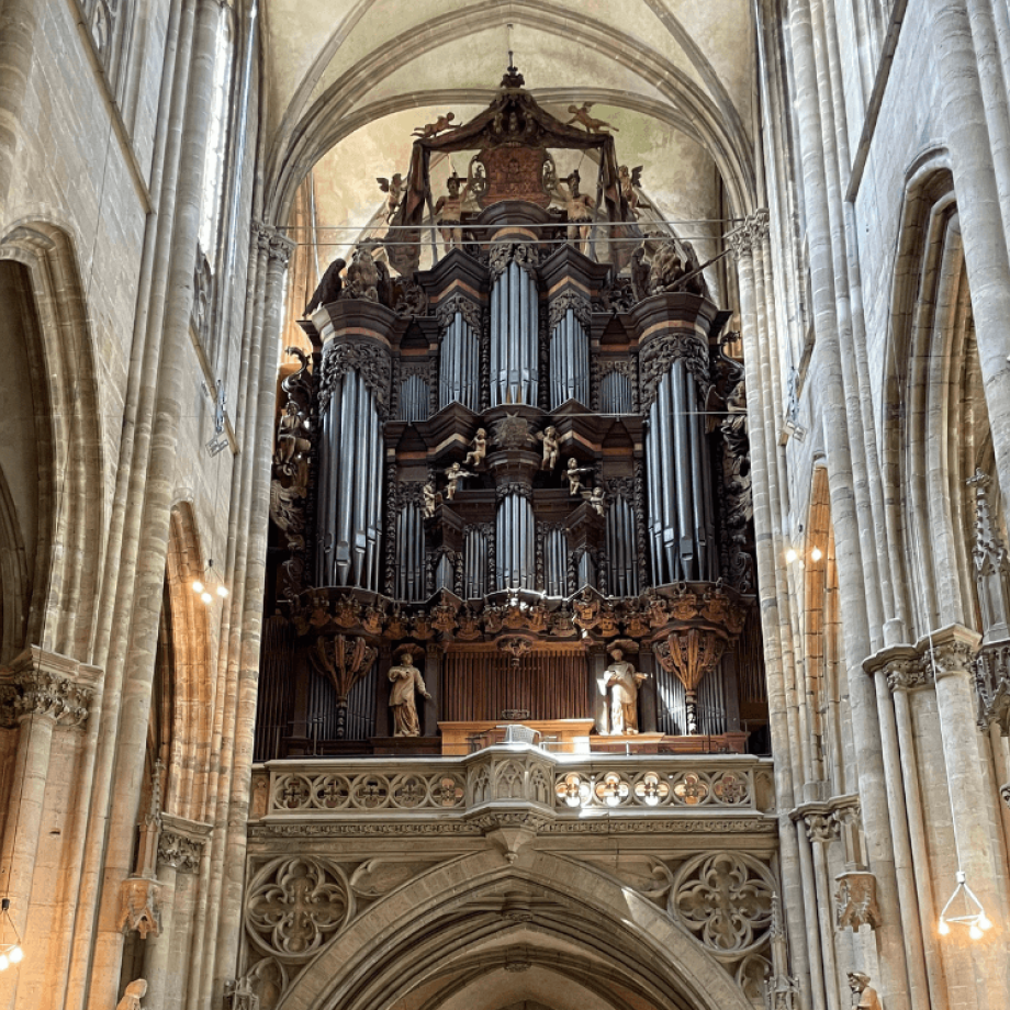 Orgel im Dom zu Halberstadt