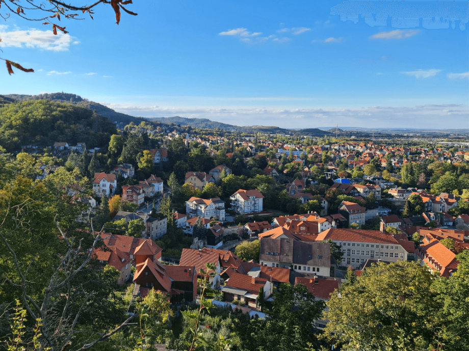 Blick auf die Blankenburger Altstadt vom Schlossberg aus