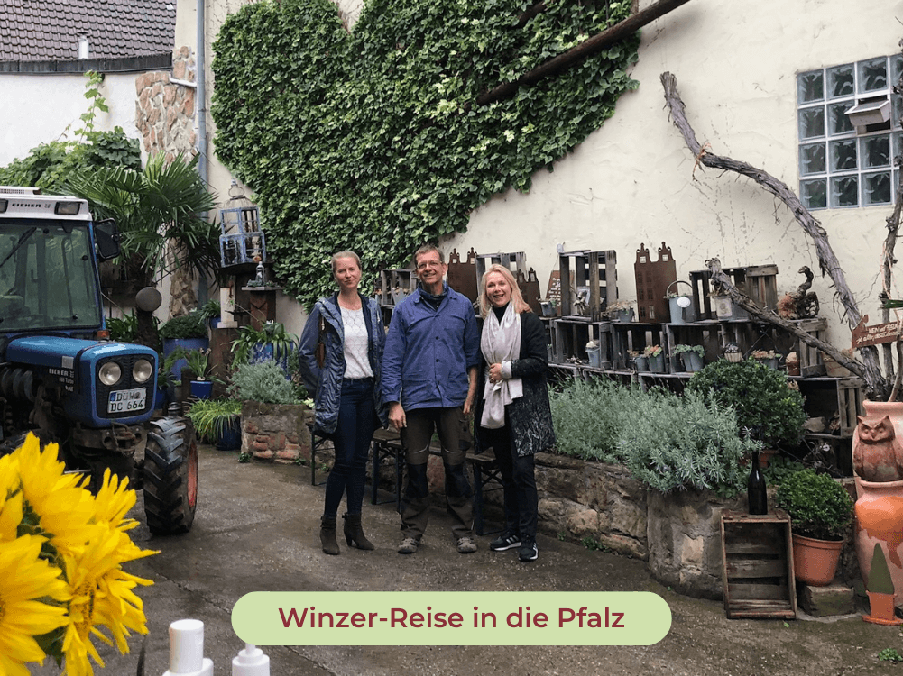 Beim Winzer in der Pfalz
