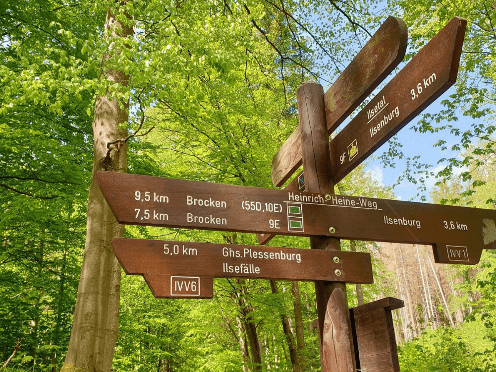 Schild mit Wanderwegen im Nationalpark Harz