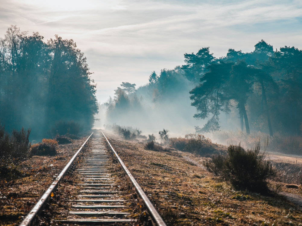 Bahngleise natur