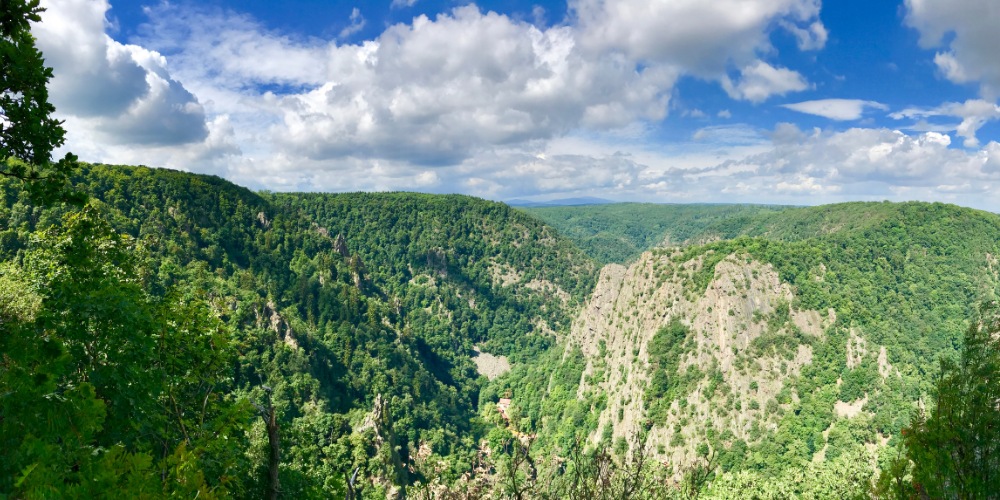 Burgruine Regenstein