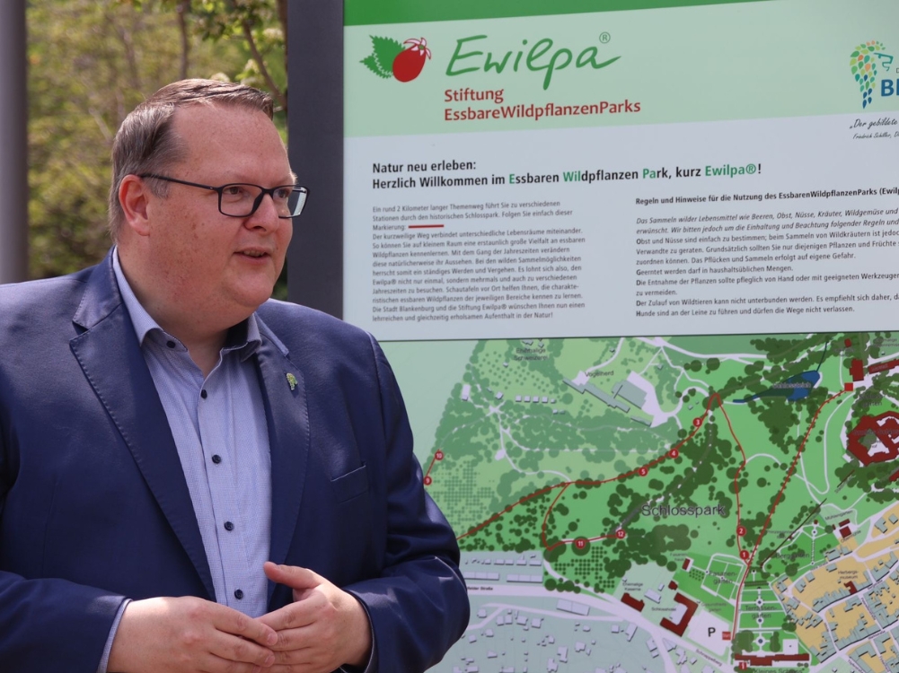 Bürgermeister Stadt Blankenburg