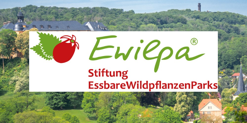 Ewilpa Logo