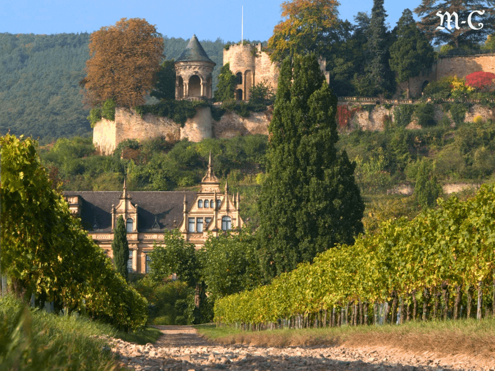 Weingut Müller-Catoir