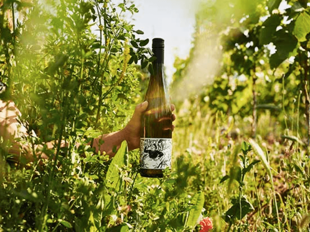 Weingut Mehling