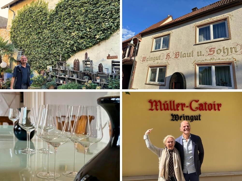 Weinreise zur Weinlese in die Pfalz