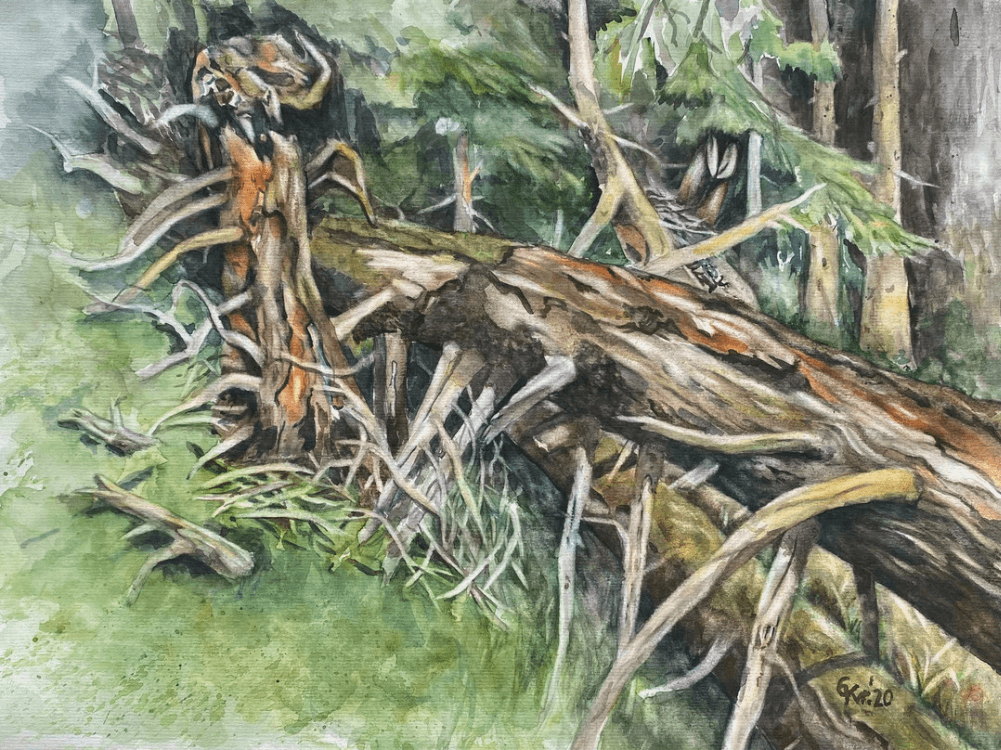 Gabriele Krueger Sturmbruch im Hochharz
