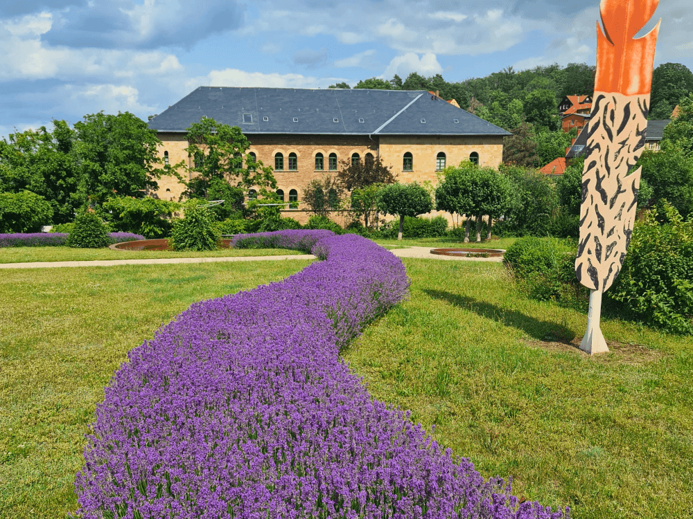 Blühende Gartenanlagen am Schlosshotel Blankenburg Blankenburg im Sommer