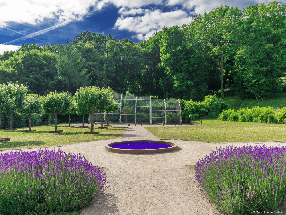 Naturidyll in den Fasanengarten an den Barocke Gaerten Blankenburg