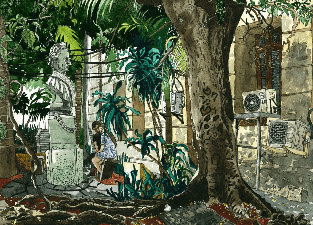 Wippermann Universidad Havana