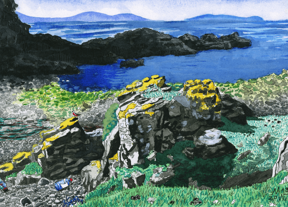 Wippermann lorgill bay