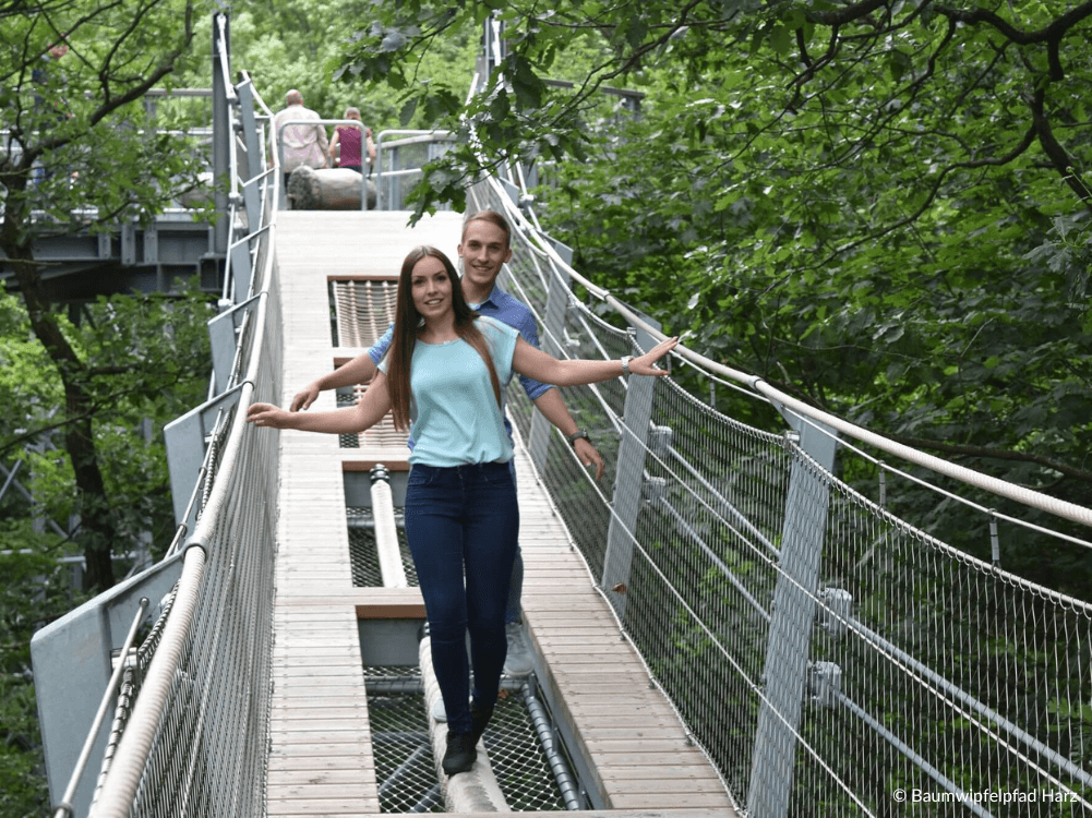 Hängebrücke am Baumwipfelpfad Harz