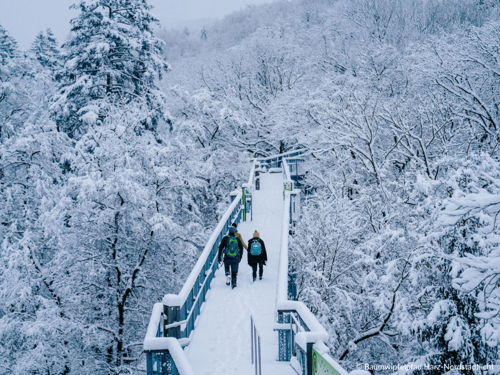 Baumwipfelpfad Harz im verschneiten Winter
