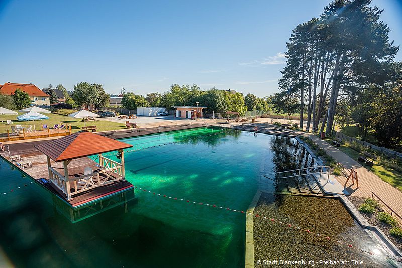 Blick auf das Freibad mit großem Schwimmbecken, Liegewiese und Bar
