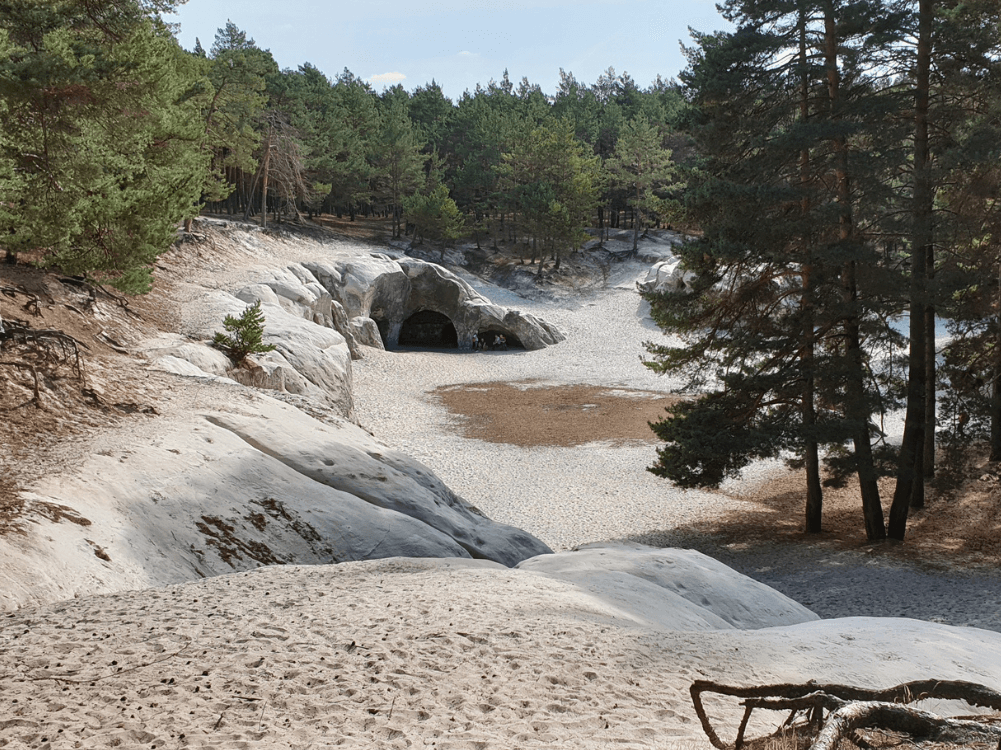 Sandsteinhöhlen im Kiefernwald bei Blankenburg