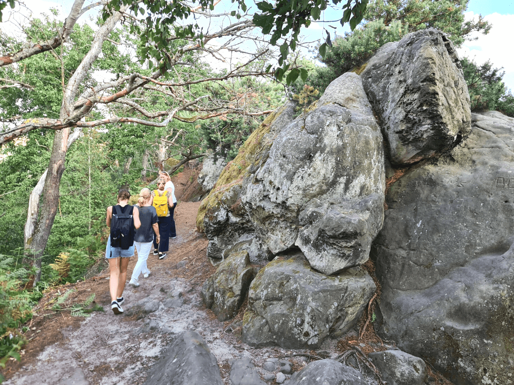 Kammweg mit Wanderern auf der Teufelsmauer in Blankenburg