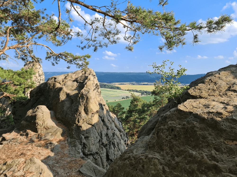 Panroamablick vom Kammweg auf der Teufelsmauer in Blankenburg