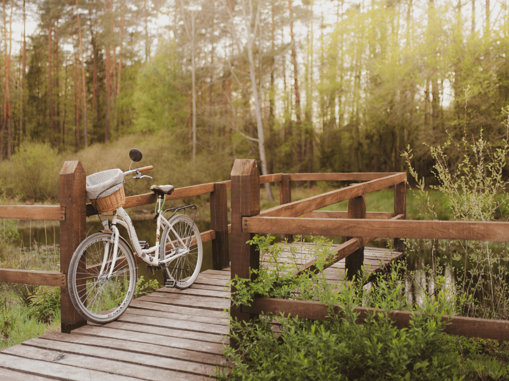 Fahrrad am Wegesrand im Wald