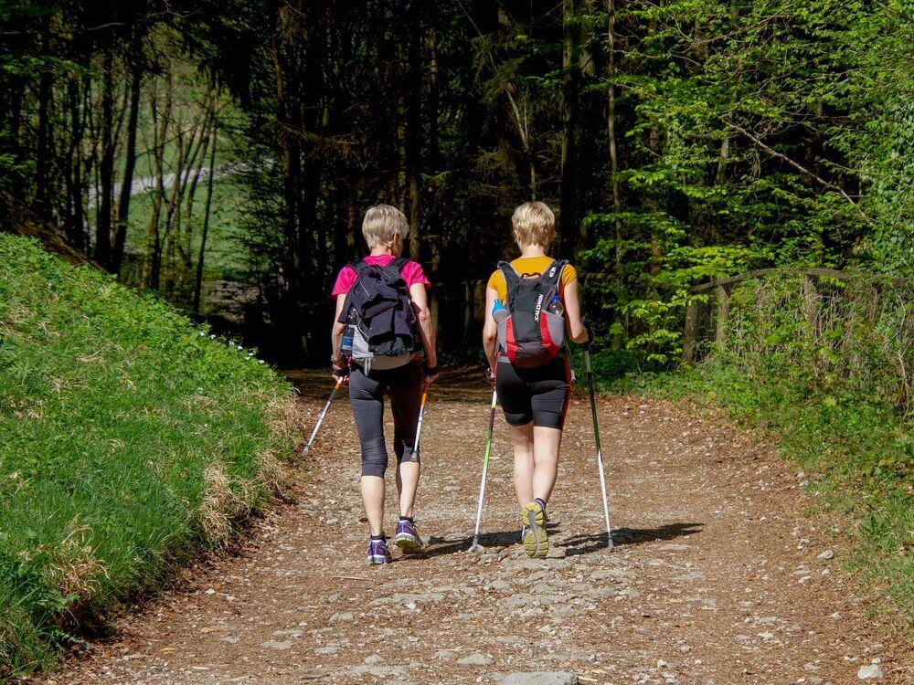Nordic Walking im Harz