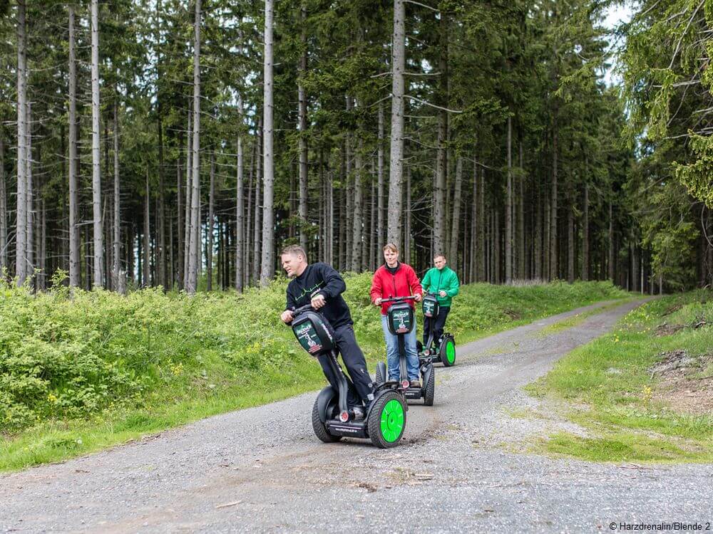 Segway Tour im Wald