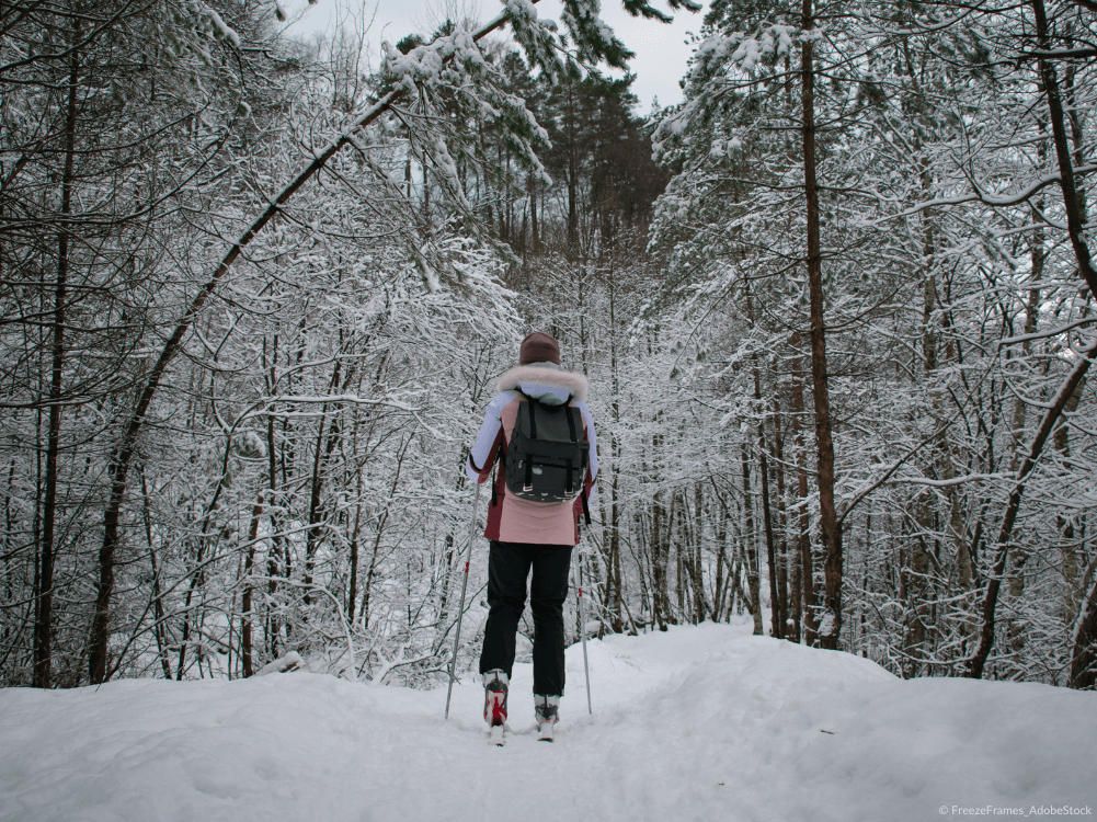 Skilanglauf Läuferin im Wald