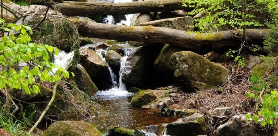 Wasserfall im Harz