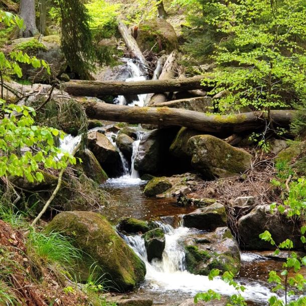 Wasserfall im Harz