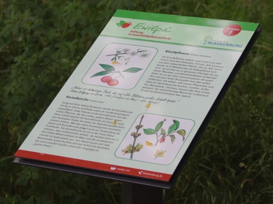 Ewilpa Beschilderung