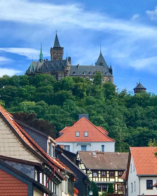 Wernigerode Aktivitäten im Harz