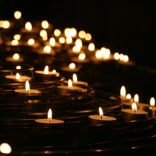 earth hour dinner