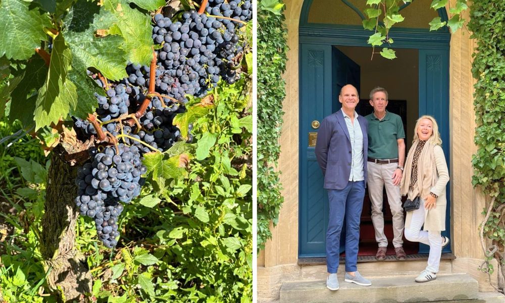 Mitten in der Weinlese in der Pfalz: Ein Genuss-Erlebnis im Schlosshotel Blankenburg