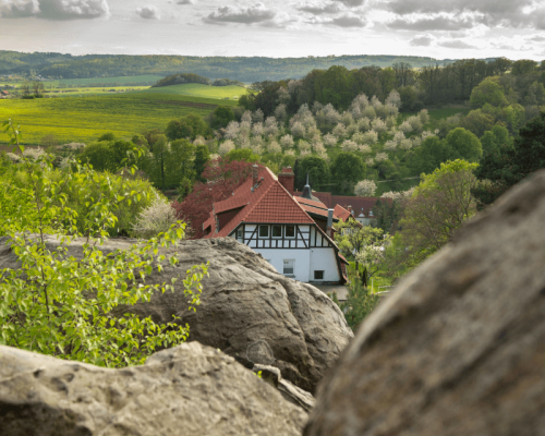 Wandern entlang der Teufelsmauer während der Blütezeit im Harz.