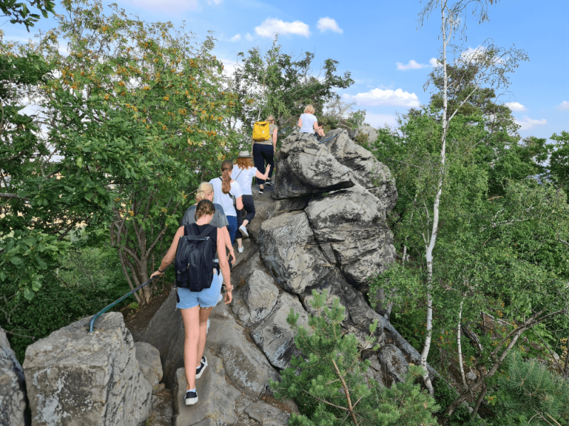 Wandergruppe auf der Harzer Teufelsmauer