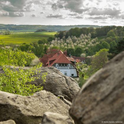 Wandern entlang der Teufelsmauer während der Blütezeit im Harz.