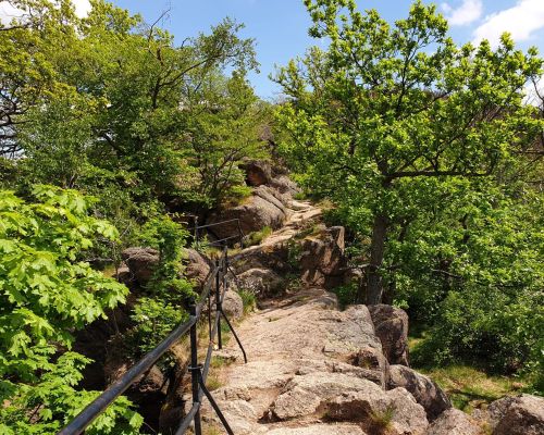Aktiv im Harz