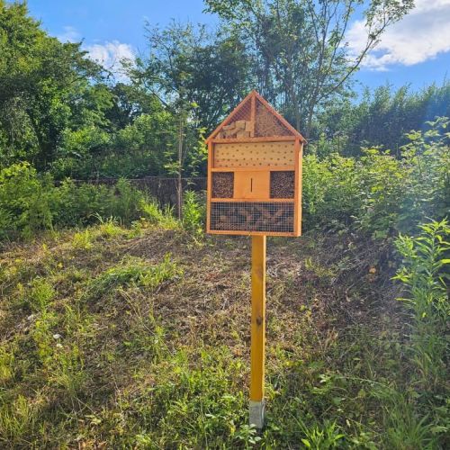 Insektenhotel hinter dem Schlosshotel Blankenburg