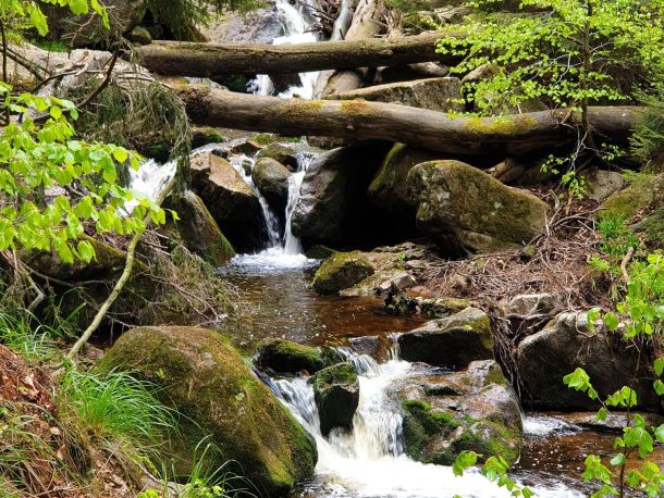 Felsiger Wasserfall im Wald