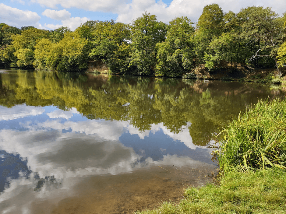 Kleiner See im Wald bei Blankenburg im Harz