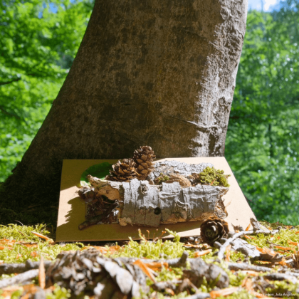 Waldbaden Kurse Farnfunken
