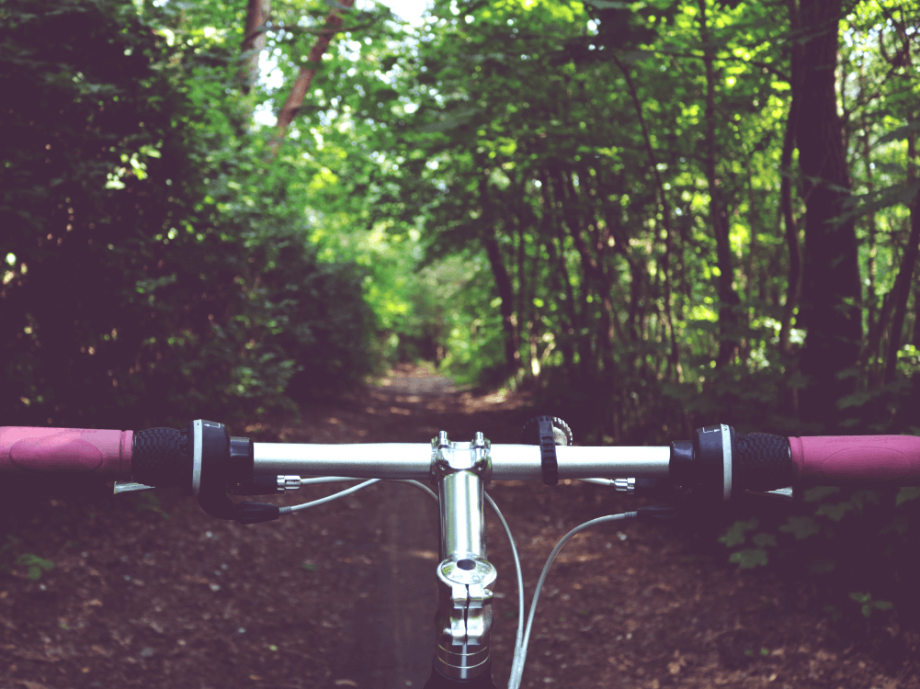 Radlenker im Wald